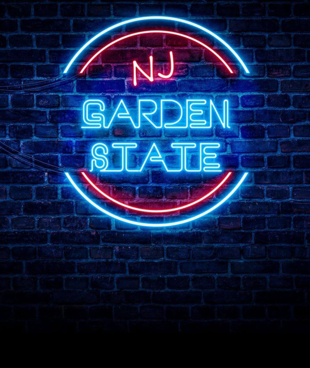 New Jersey colored political party